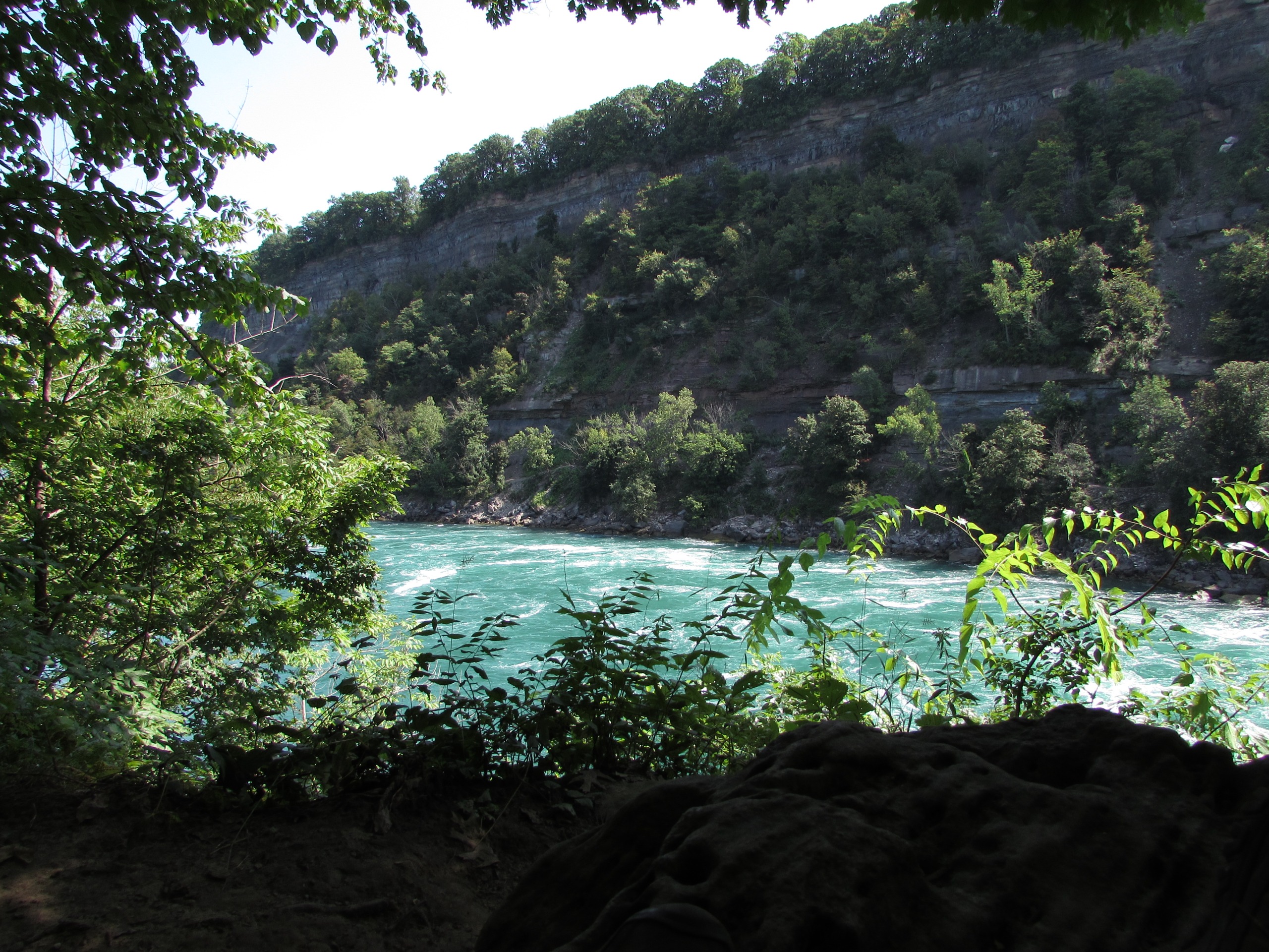 Image of lower Niagara River with trees in the foreground
