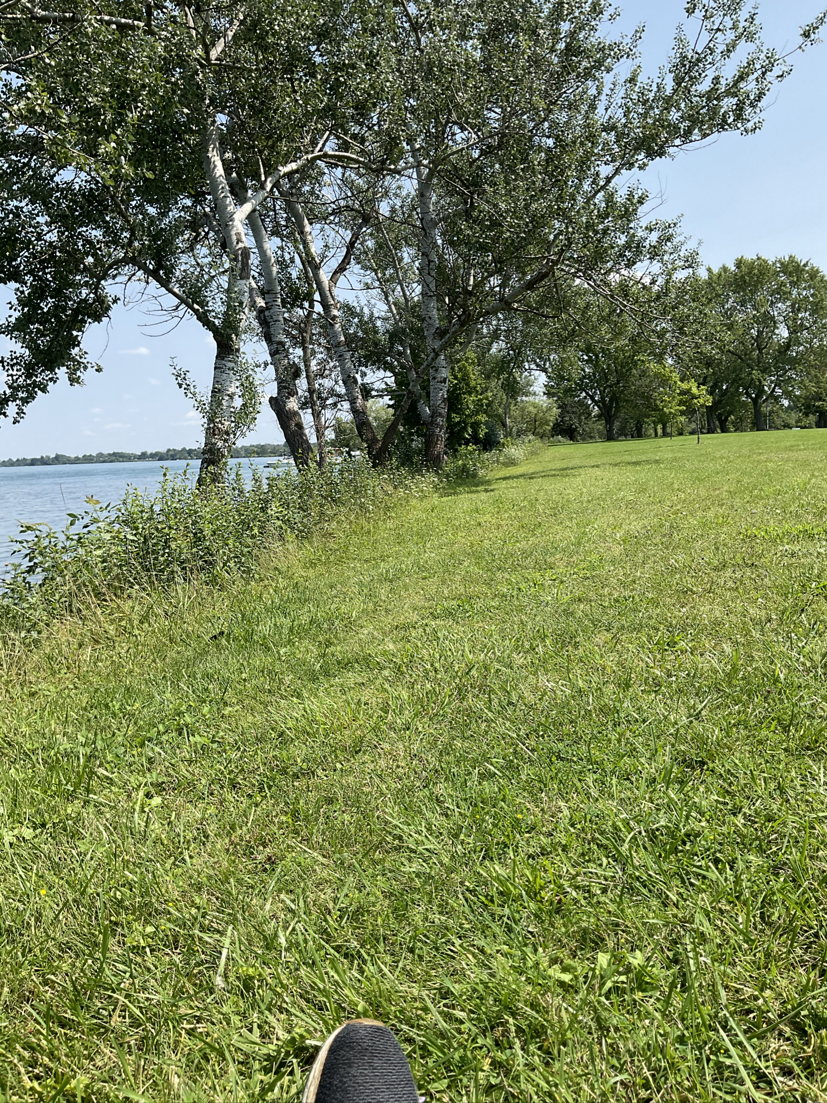 Shoreline area along Niagara River with mowed grass and trees