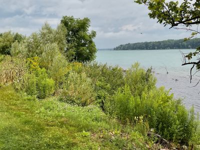 Option 1: Lakefront recreation area