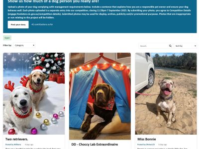 photos of dogs shared by residents